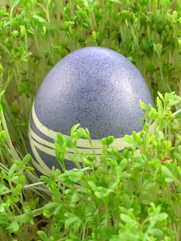 colourful Easter Eggs on a green background