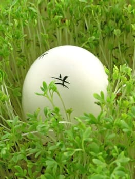 colourful Easter Eggs on a green background