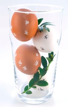 four Easter Eggs in a glass isolated on white background