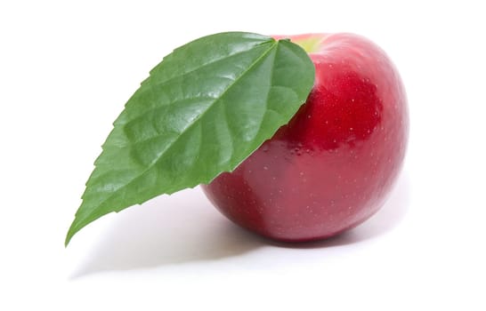 ripe fresh red apple with leaf isolated on white