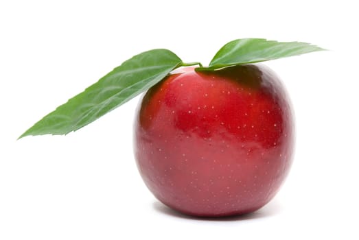 ripe fresh red apple with leaves isolated on white