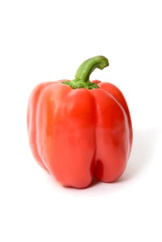 A red pepper on a white background