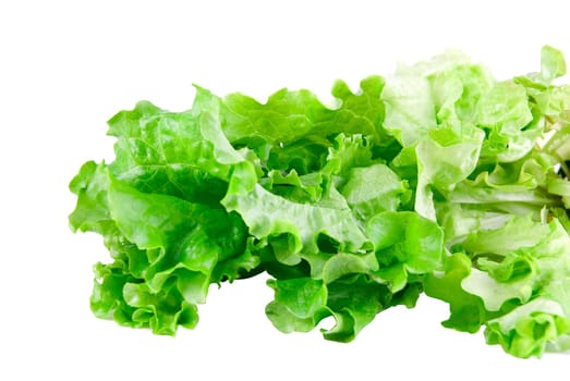 Green Lettuce isolated on white