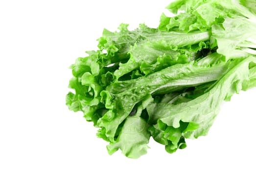 Close-up of Green Lettuce isolated on white