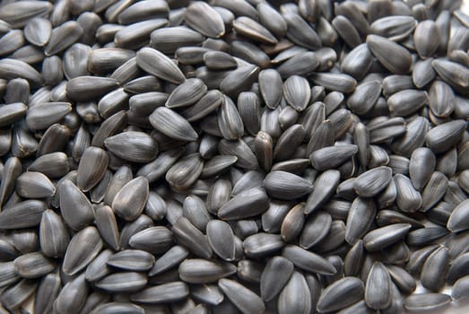Close-up of Sunflower seed. texture background