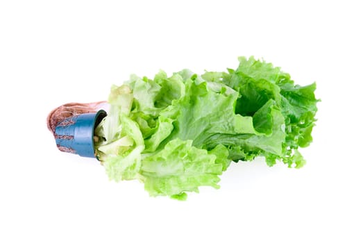 Green Lettuce isolated on white