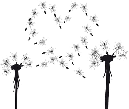 Silhouette of love dandelion concept