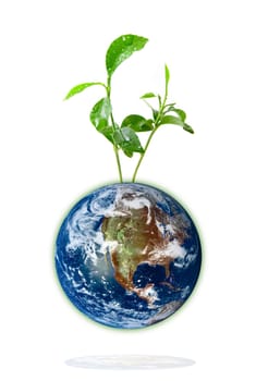 Baby plant growing from the earth over a white background. Data source: nasa.