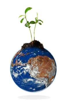 Baby plant growing from the earth over a white background. Data source: nasa.