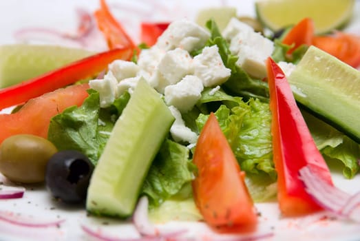 Close-up of Appetizing salad in a plate on white background.