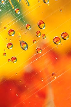 Colorful water drops