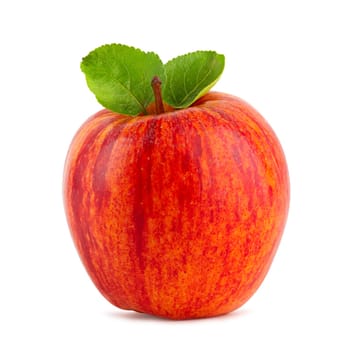 Red apple on white background