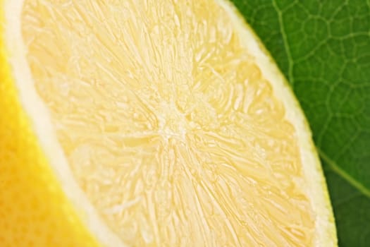 A freshly sliced lemon in profile with a leaf in the background.
