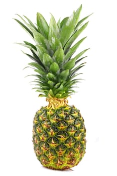 A fresh pineapple in frontal view.