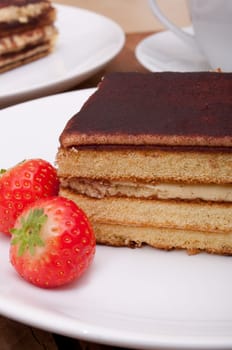 Tiramisu - Portion of  Italian Dessert on White Plate