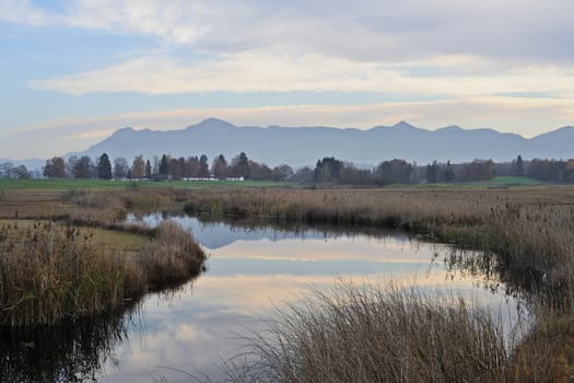 The moorland near Murnau am Staffelsee in Bavaria