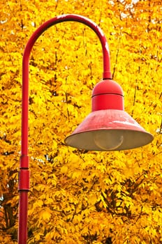 (Fall foliage) or (fall leaves) or (autumn leaves)