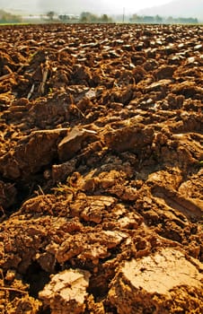 freshly ploughed field