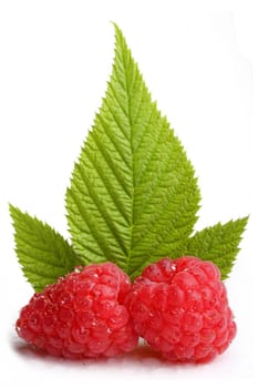 Fresh raspberries with leaves and drops of water.