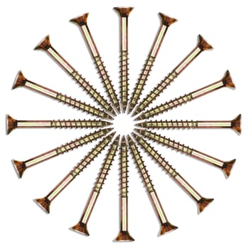 A circle of screws