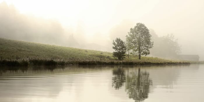 Shore at Königssee early in the morning