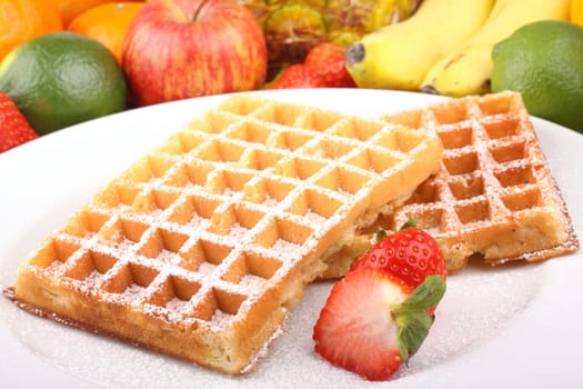 Waffle with powdered sugar on white plate in front of fruits.