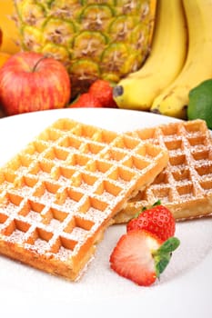 Waffle with powdered sugar on white plate in front of fruits.