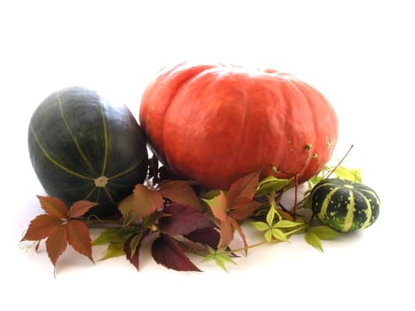 series of fruits and vegetables: pumpkin on a white background