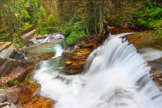 Beautiful waterfall flows through the pine forests of Glacier National Park in Montana.