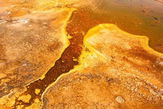 Thermophilic bacteria thrive in the hot springs of the Upper Geyser Basin at Yellowstone National Park.