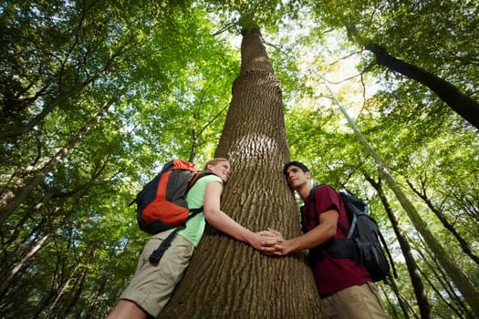 young man and woman during hiking excursion, hugging tree and holding hands. Horizontal shape, low angle view, waist up
