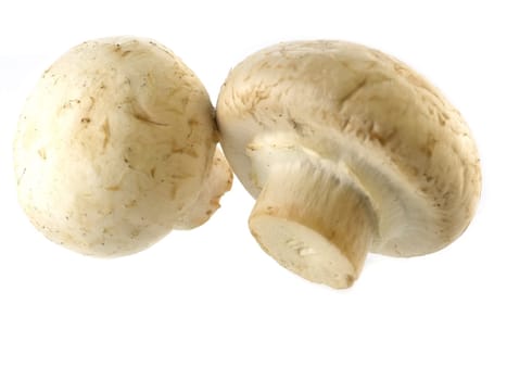 food series: fresh mushrooms isolated on solid background