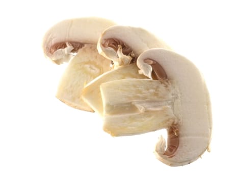 food series: fresh mushrooms isolated on solid background