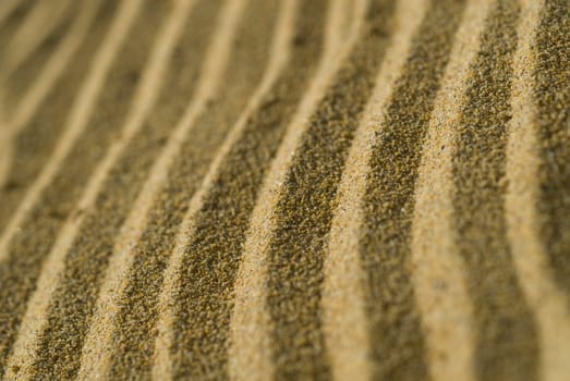 Sand Dunes 03