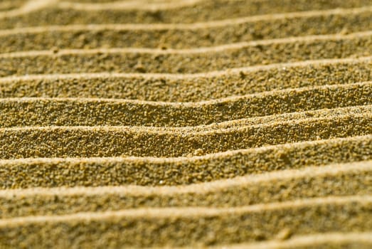 Sand Dunes 01