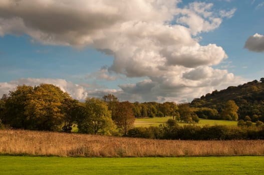 Countryside landscape, fall season, England, UK