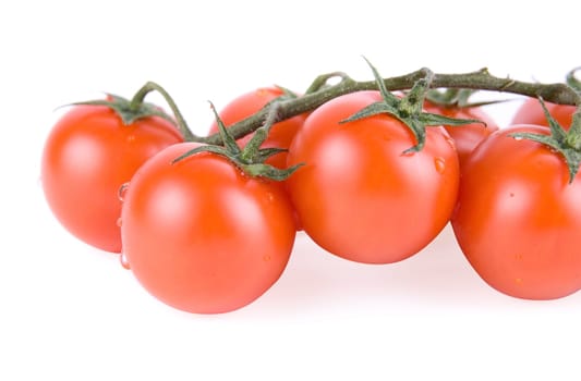 Ripe tomatoes on the green branch.