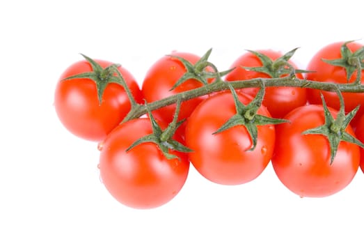 Ripe red tomatoes on the green branch.