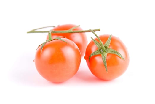Ripe tomatoes on the green branch.