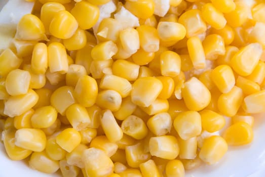 Close up of corn seeds background