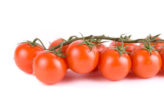 Ripe red tomatoes on the green branch.