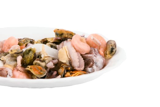 Close up of Sea cocktail from different seafood on plate