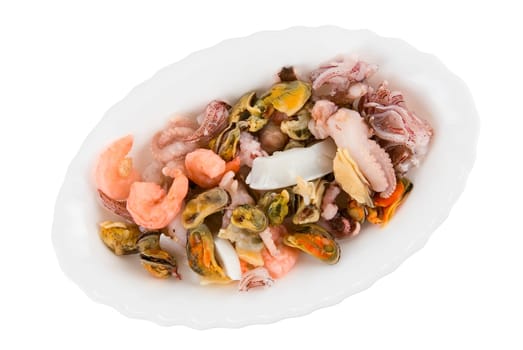 Sea cocktail from different seafood on plate