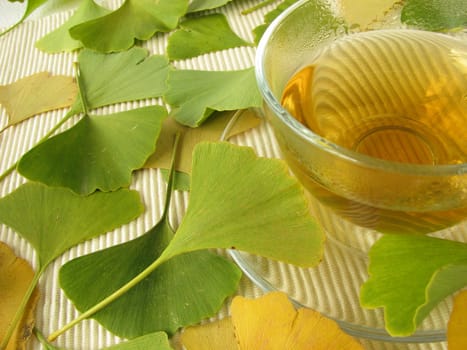Ginkgo Tea