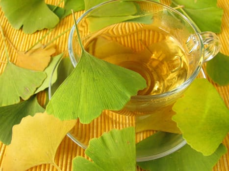 Ginkgo Tea