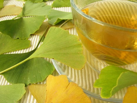 Ginkgo Tea