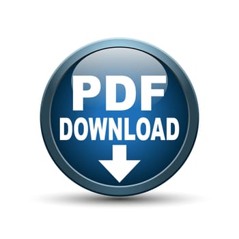 Icon PDF document blue