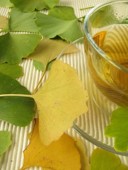 Ginkgo Tea