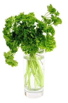 Parsley with water in a glass