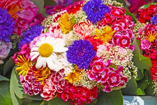 Bouquet of colorful seasonal flowers